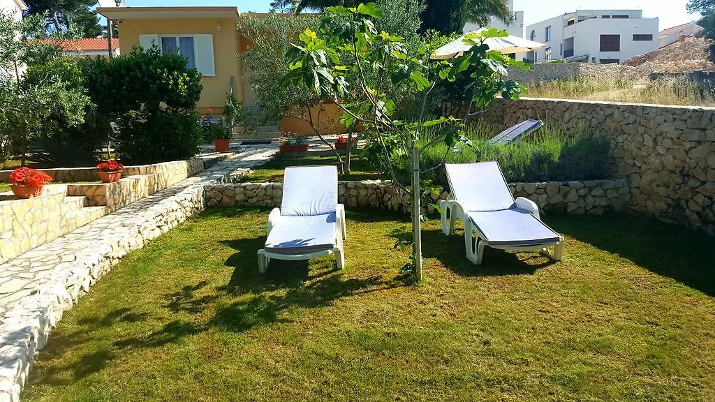 Villa Nela Petrcane Apartment