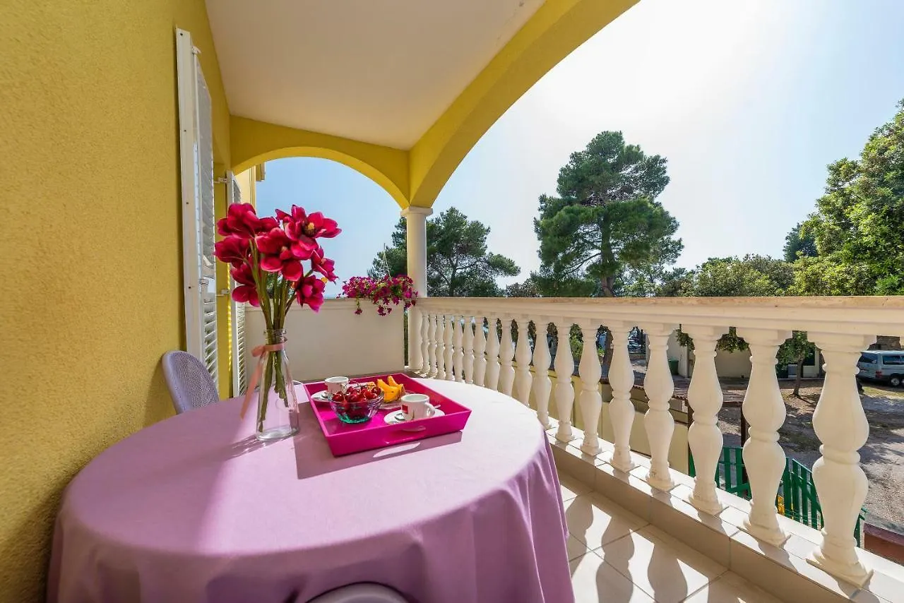 Villa Nela Petrcane Apartment